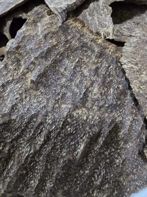 جار هندي قاروهيلز سوبر مرتفع